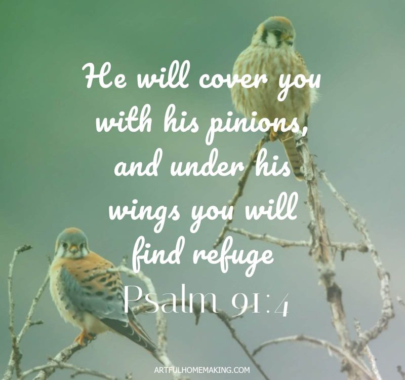 Psalm 91:4