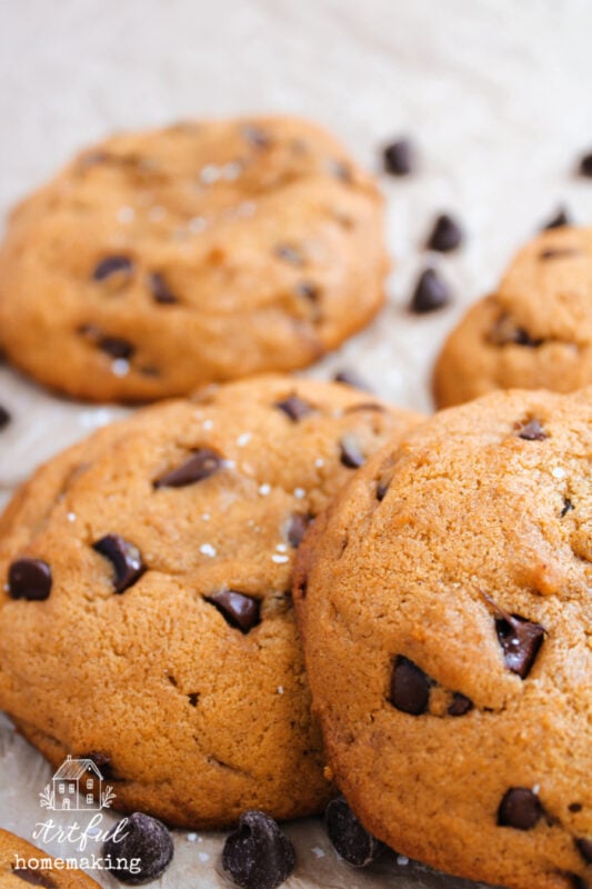 pumpkin chocolate chip cookies