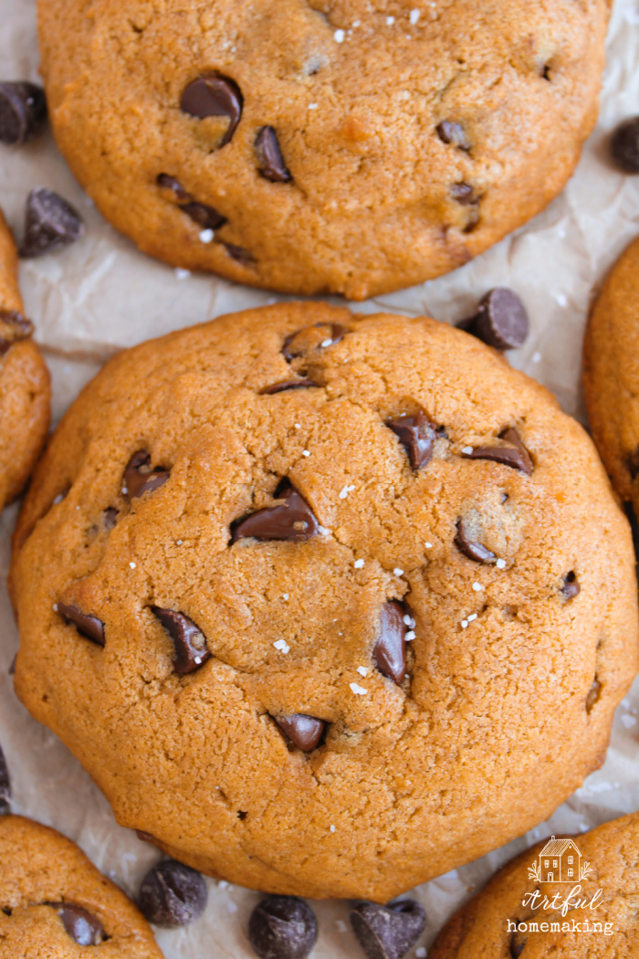 pumpkin chocolate chip cookies