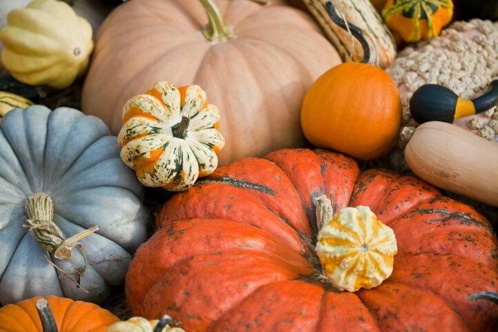 fall pumpkins and squash