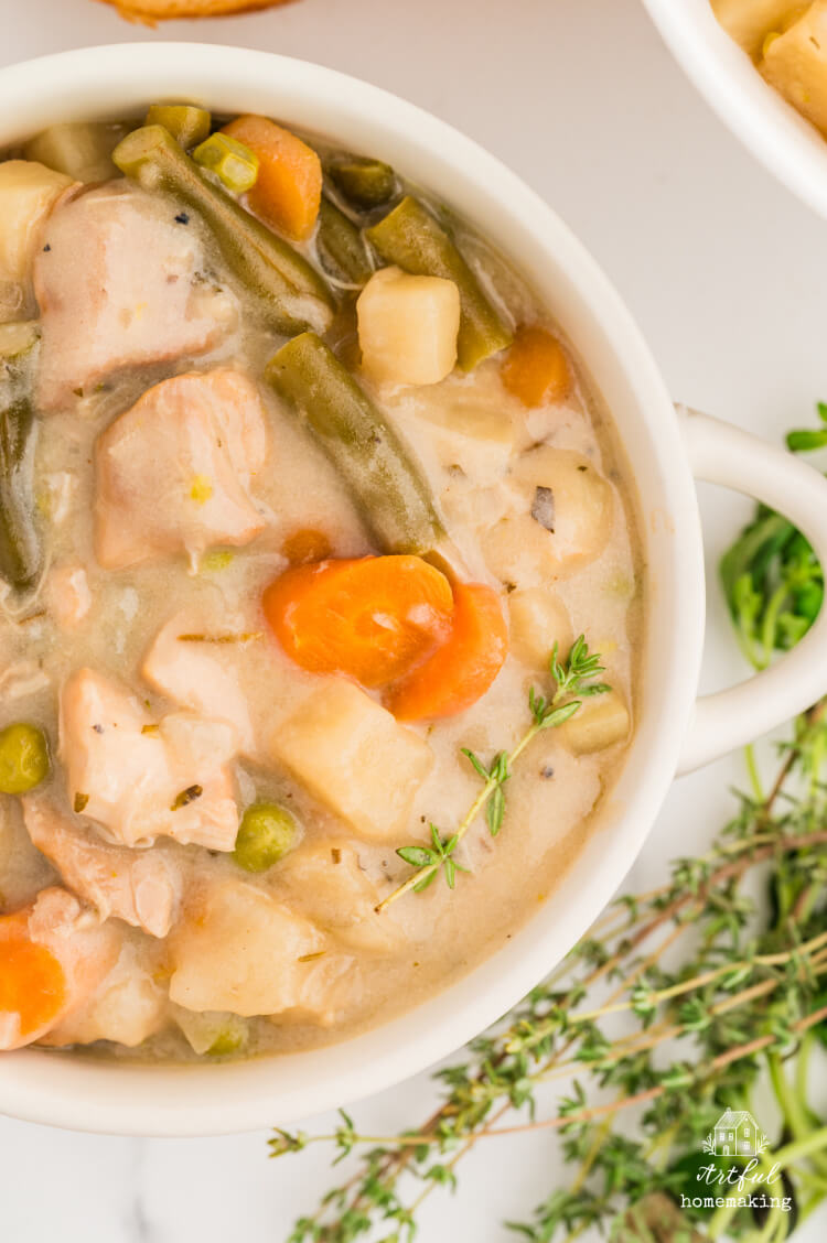 close up photo of finished chicken stew in a white bowl