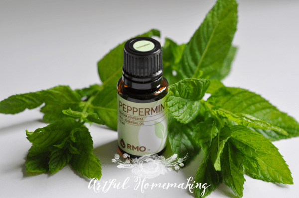 peppermint hand soap peppermint hand soap
