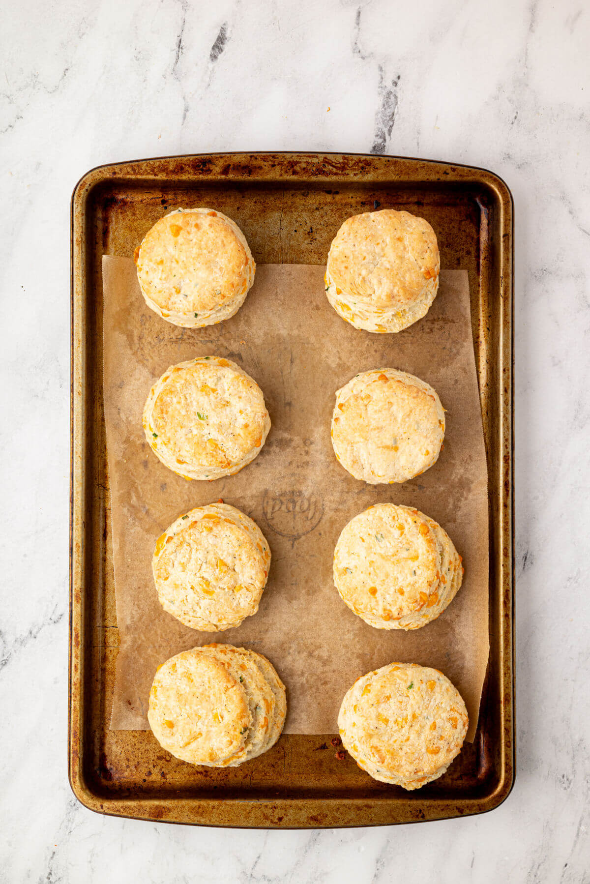 Sourdough cheddar biscuits on a parchment-lined baking sheet after baking.