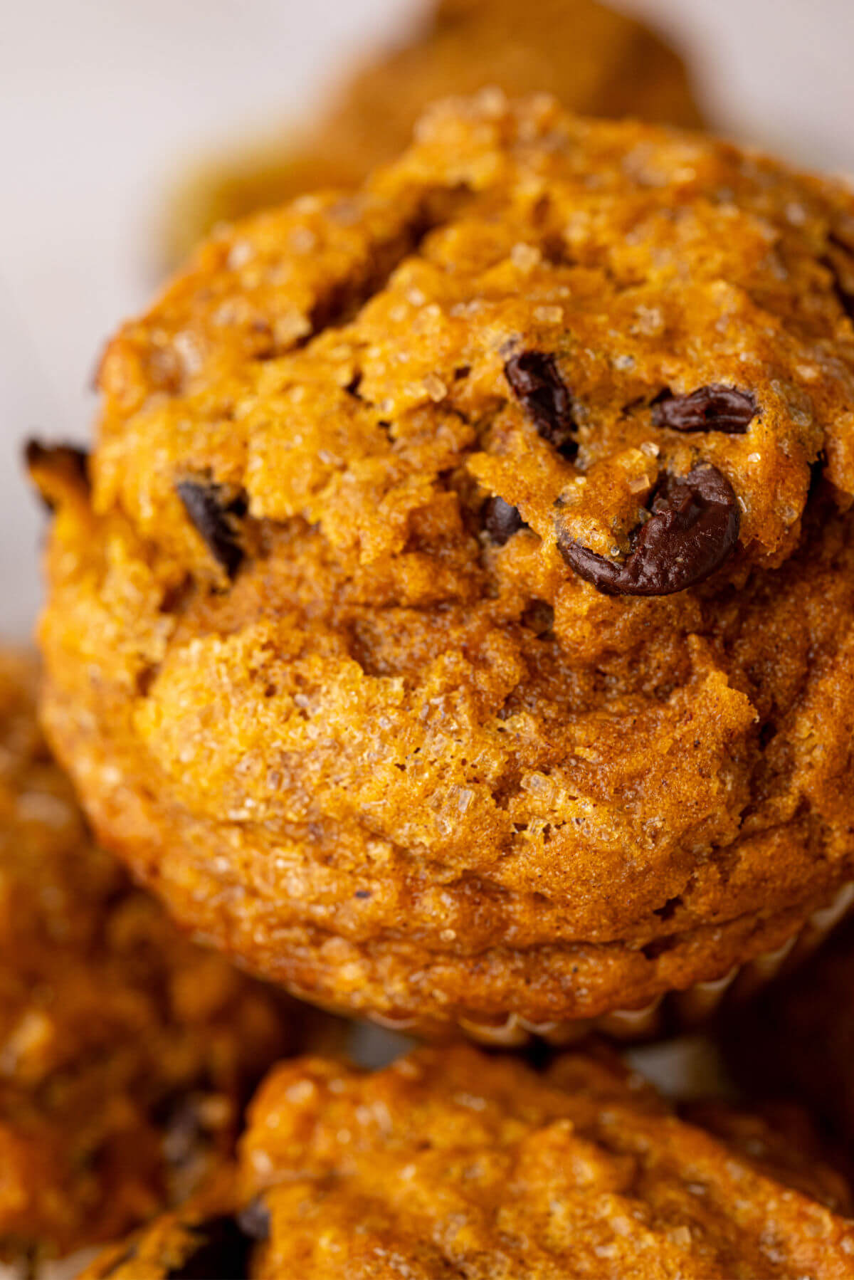 Sourdough pumpkin chocolate chip muffins in a pile.