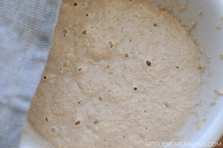 sourdough english muffins