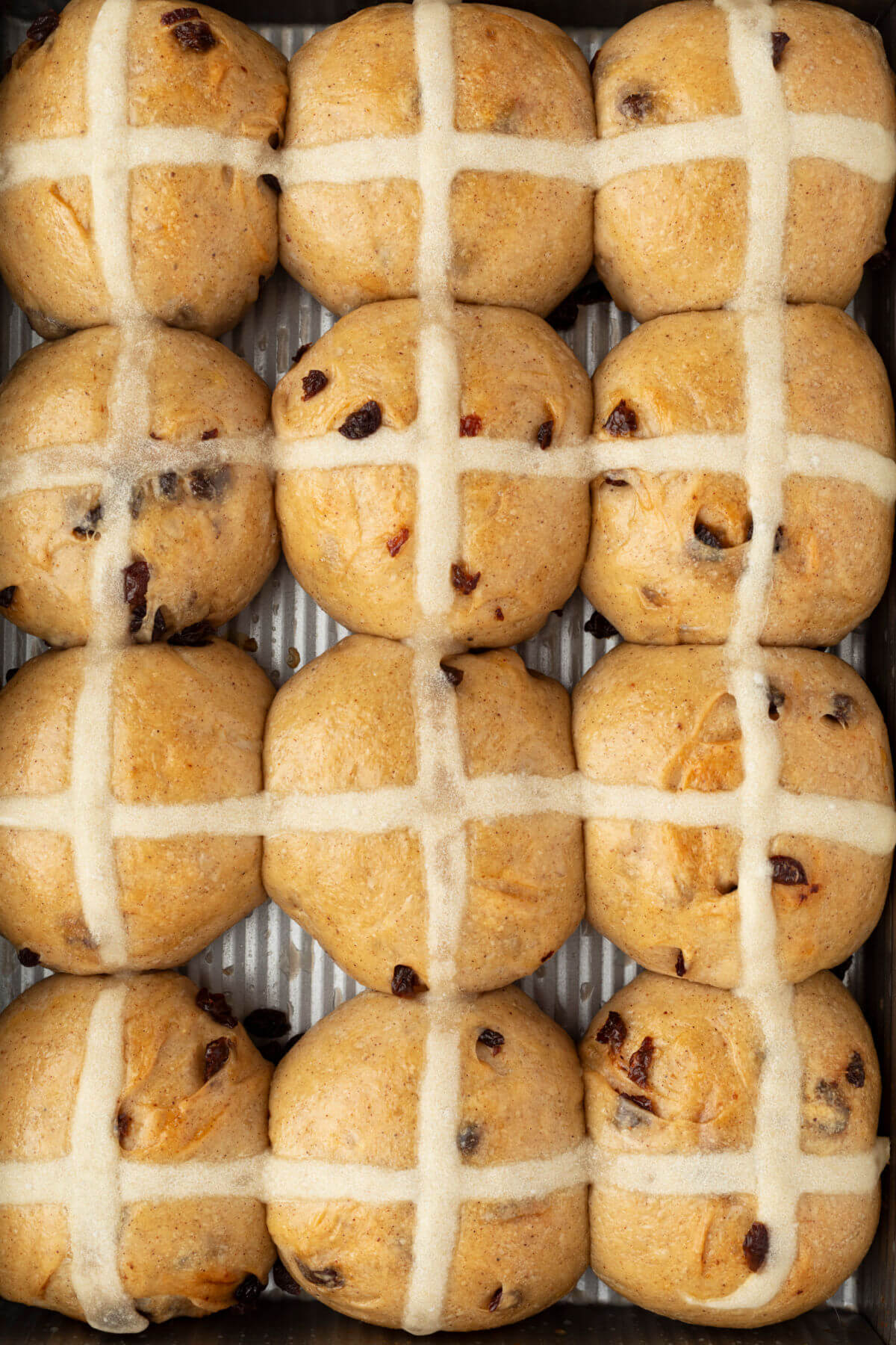 top down view of a 9 x 13 pan of sourdough hot cross buns