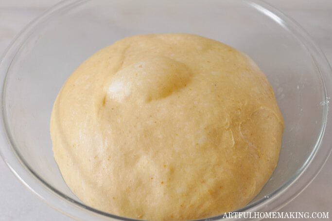 dough in bowl with bubbles on top of dough