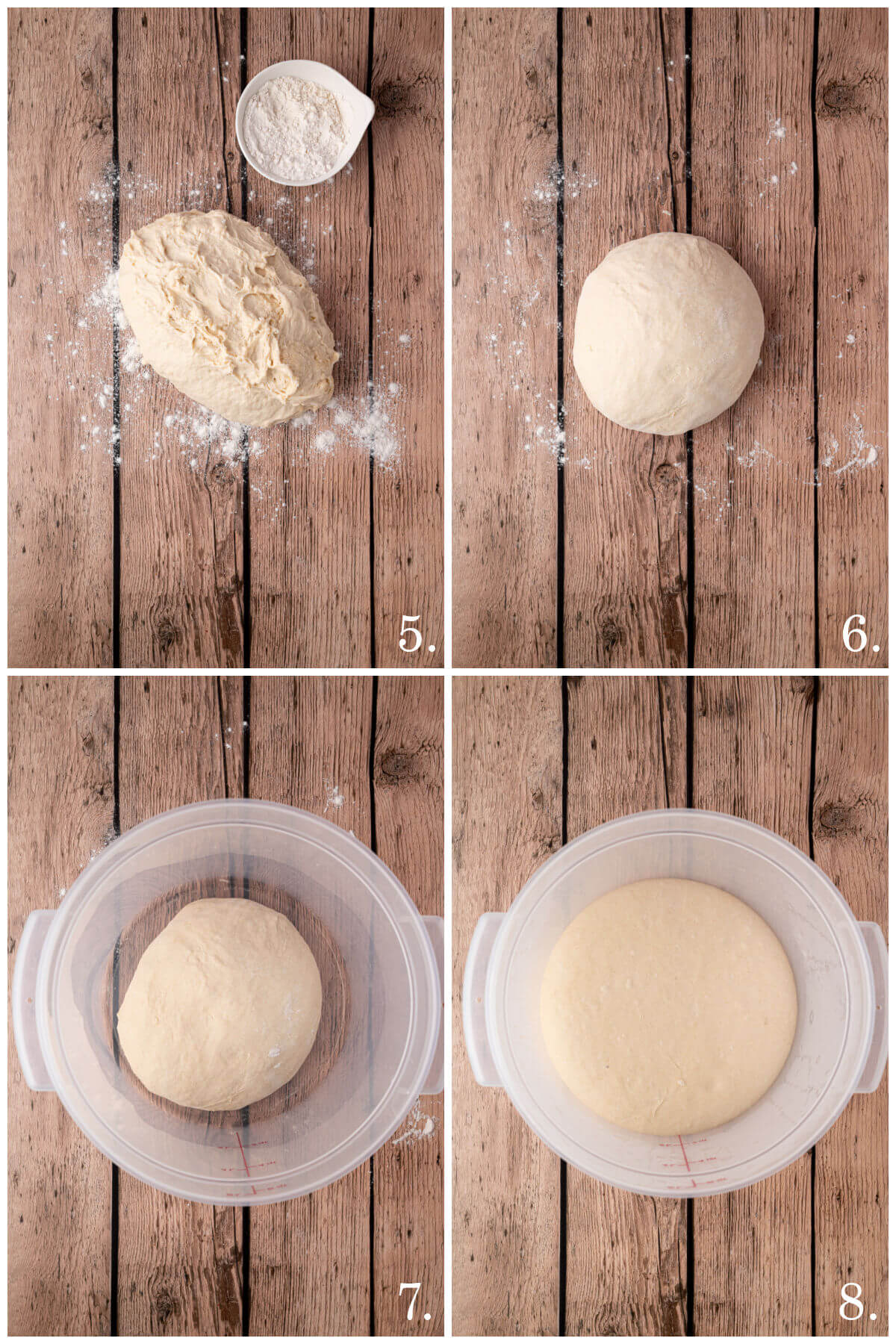 Numbered collage of four photos showing steps 5-8 for how to make. sourdough sandwich bread.