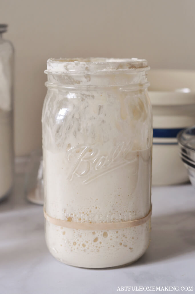mature sourdough starter active and bubbly in a glass quart jar