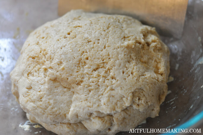 sourdough tortilla dough