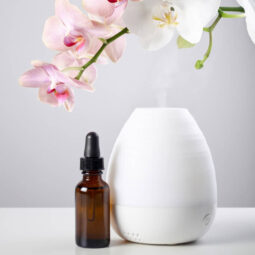 13 Spring Essential Oil Diffuser Blends - Artful Homemaking