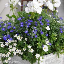 How to Create a Flower Planter for Your Front Porch