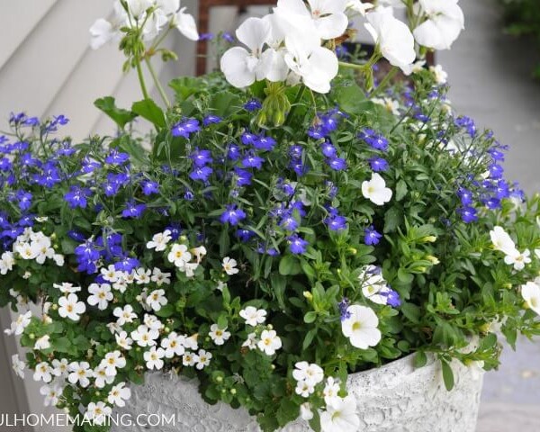 How to Create a Flower Planter
