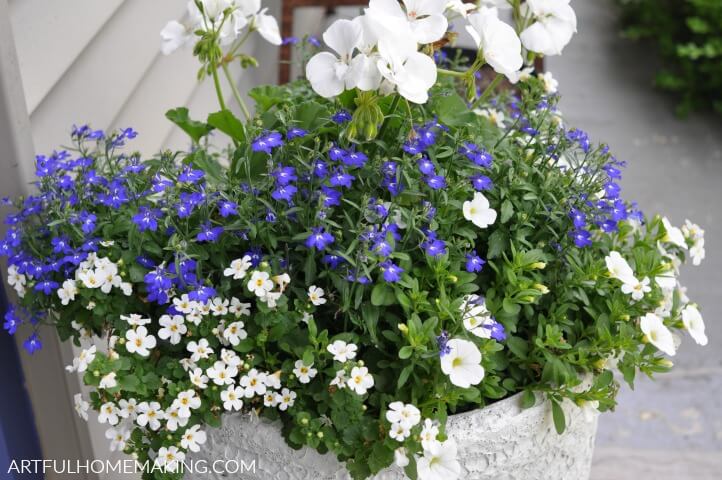 How to Create a Flower Planter