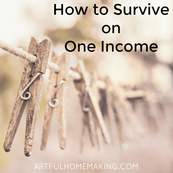 How to Survive on One Income