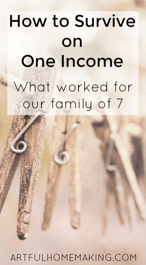survive on one income
