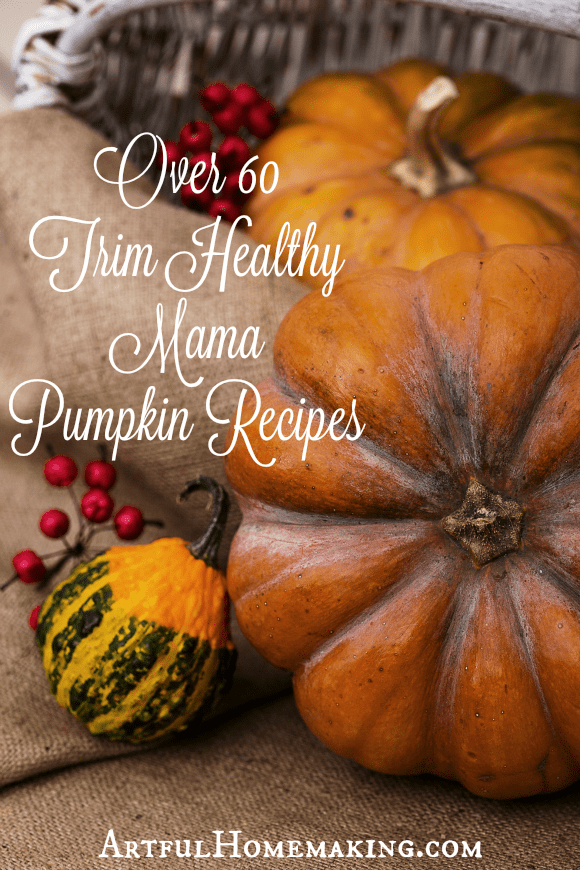 66 Trim Healthy Mama Pumpkin Recipes