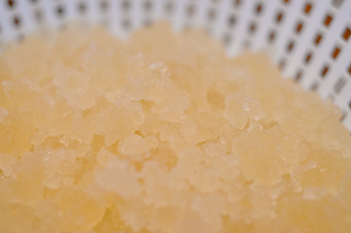 water kefir grains