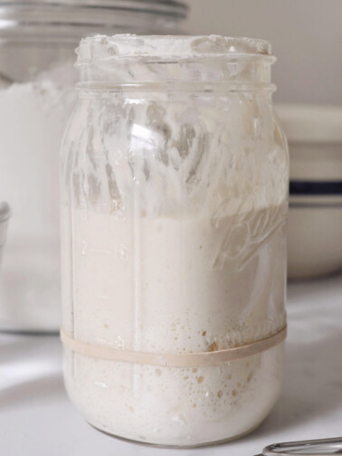 Jar of sourdough starter with a rubber band showing when sourdough starter is ready.