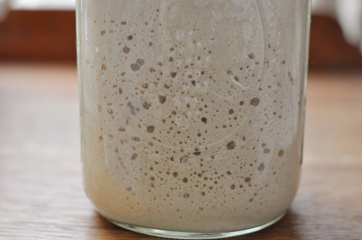 Jar filled with risen sourdough starter that is filled with large bubbles showing that sourdough starter is ready to use.