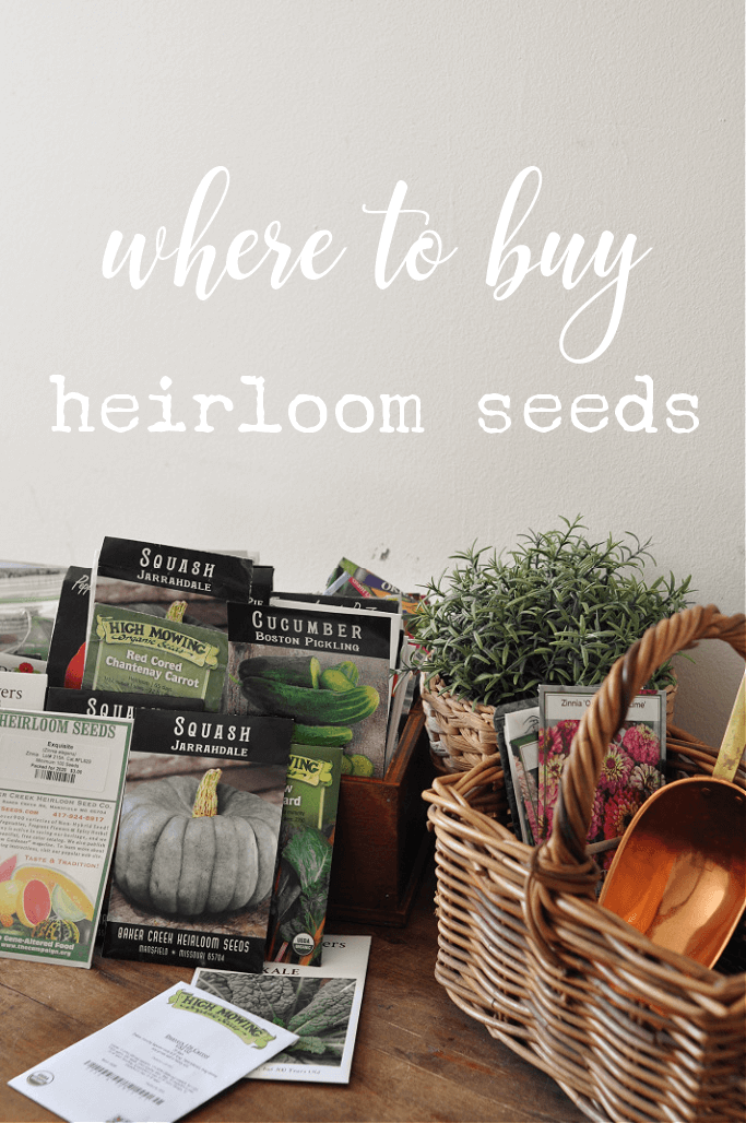 where to buy heirloom seeds