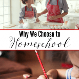 Why We Homeschool